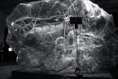 Model of biometric reflexions
